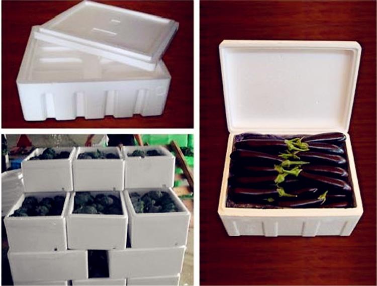 EPS Foam Box Machine