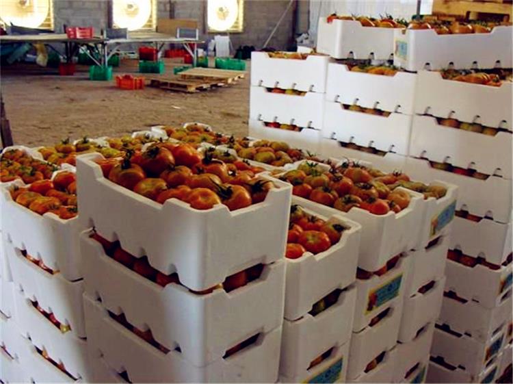 EPS Foam Box Machine